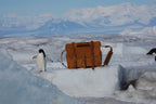 Large Classic Leather Briefcase in Tobacco on polar sea ice beside penguins with snowy mountains behind