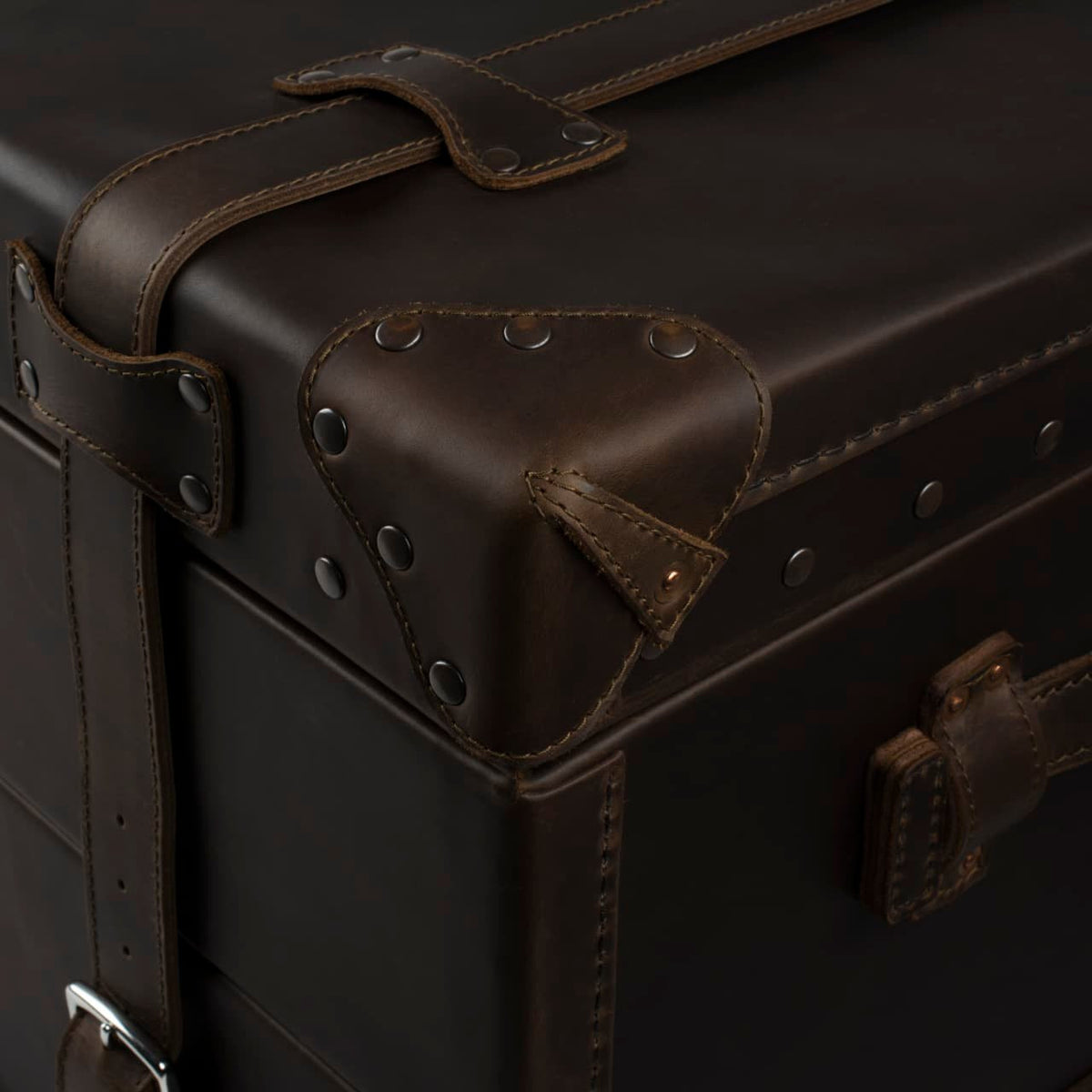 Leather Trunk in Dark Coffee Brown, close-up of studded corner guard, strap and side handle