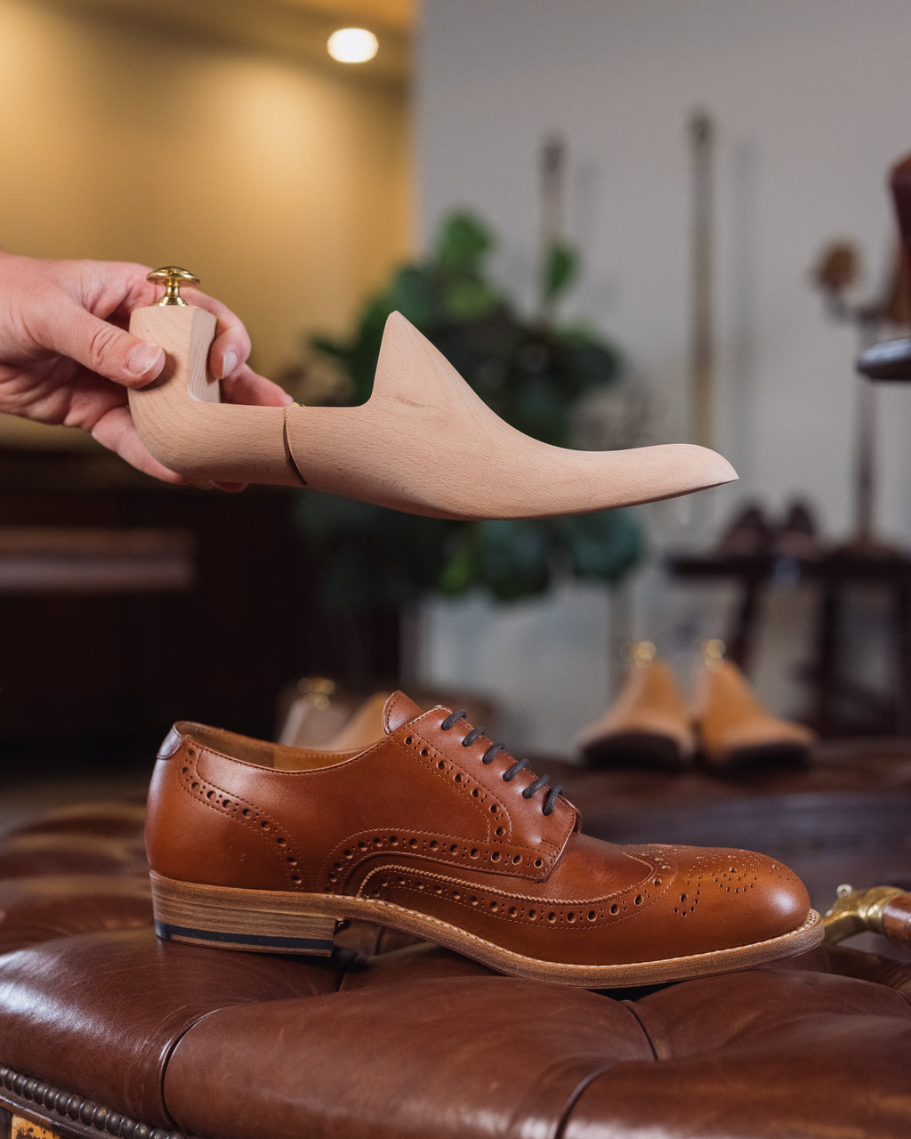 Shoe Tree held above a tan leather wingtip shoe on a tufted leather ottoman