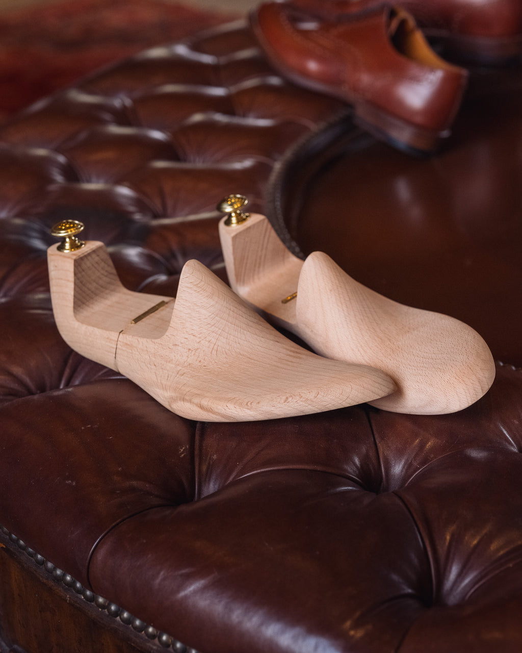 Shoe Tree pair, side view on a tufted leather ottoman with brown shoes behind