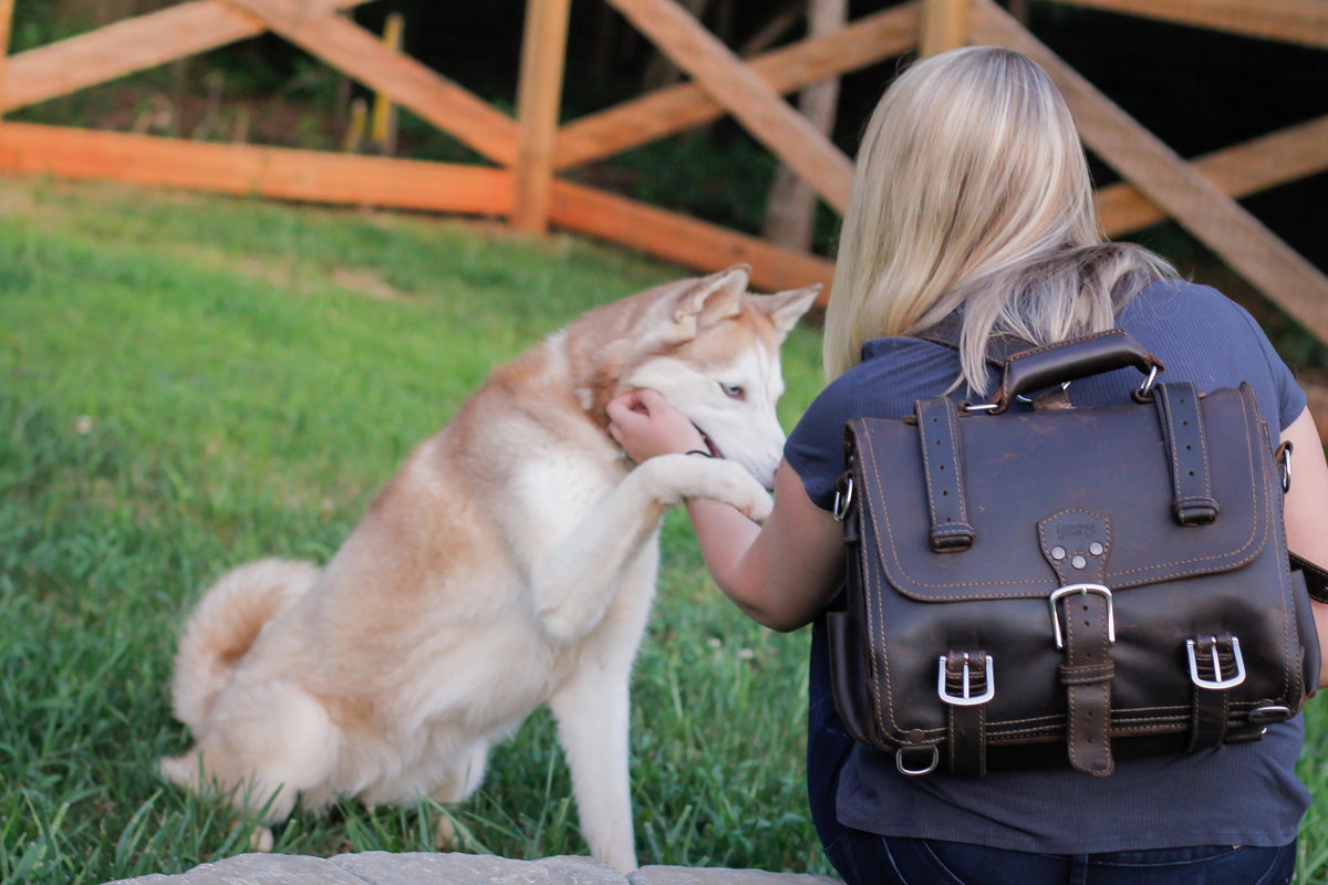 Woman wearing a dark brown Classic Leather Briefcase as a backpack while petting a husky