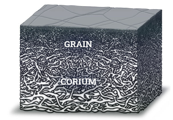 Cross-section of a block of hide: a dense mesh of fine fibres labelled GRAIN across the top, opening out into the coarser, looser fibres of the CORIUM below.