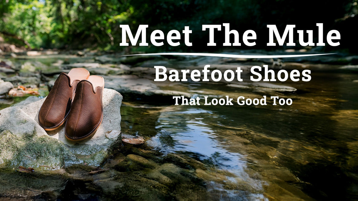 Meet The Mule, Barefoot Shoes That Look Good Too: brown leather mules on a rock in a forest creek