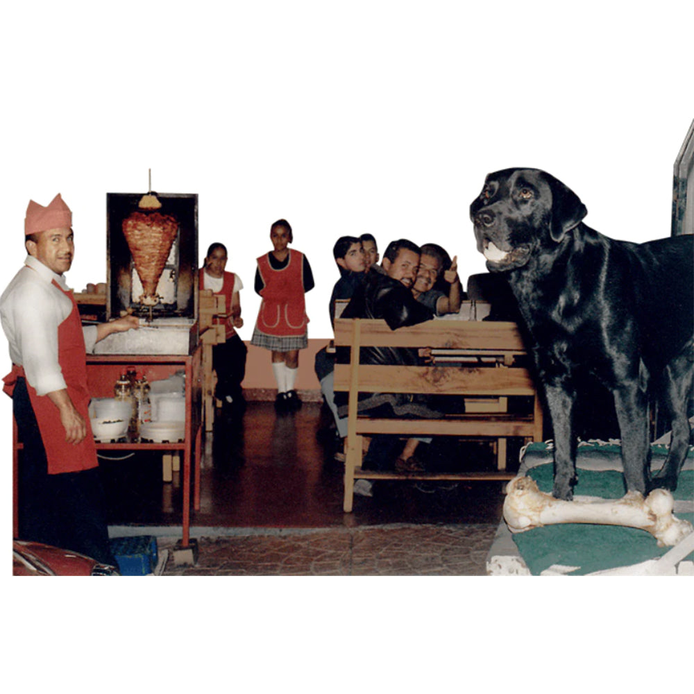 Blue the black Labrador standing on a workbench in a Mexican leather workshop while craftsmen work at the benches around him.