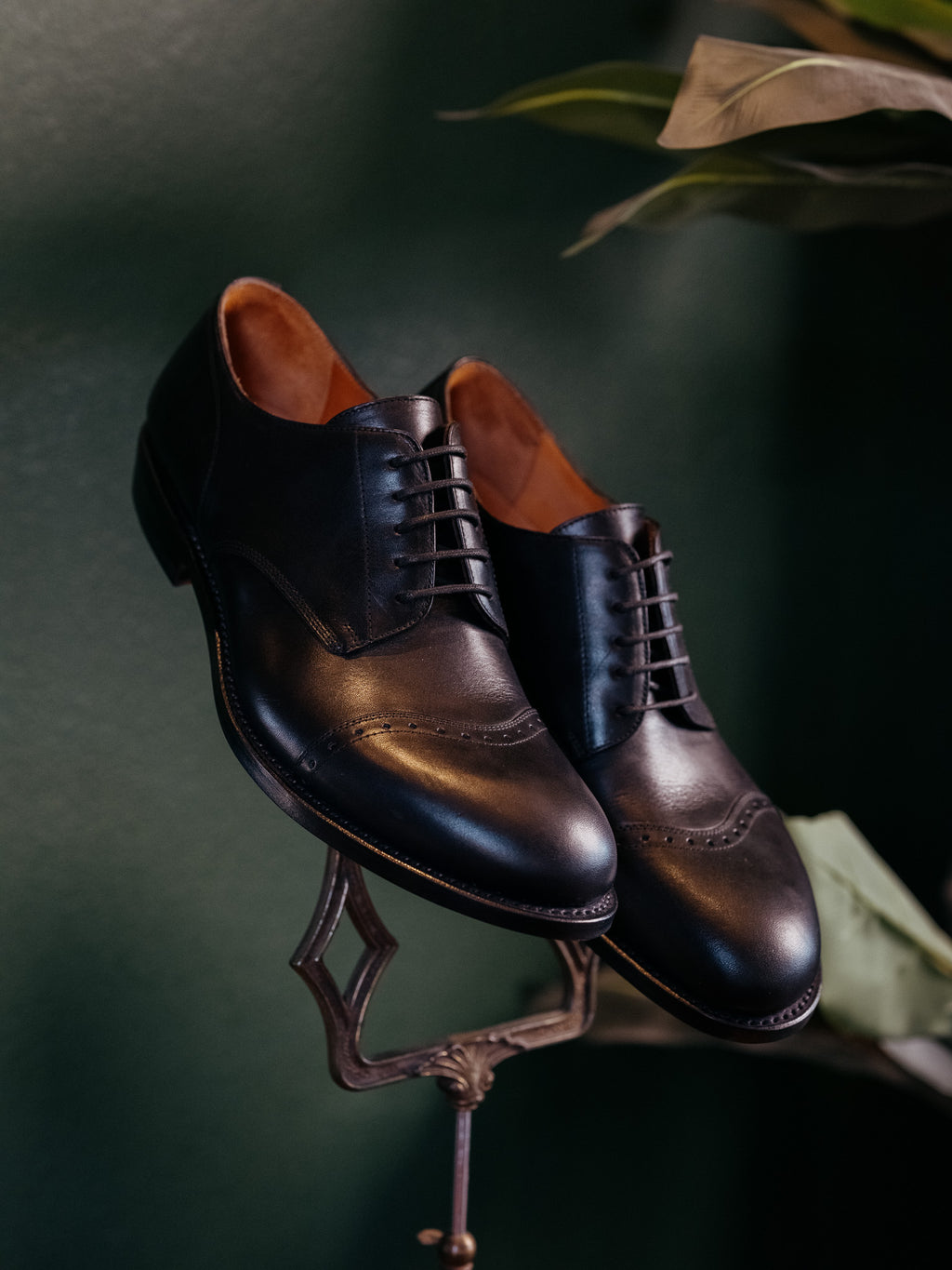 Toe Cap Shoes in Raven Black, front angle of the pair on a metal stand showing brogued cap toes