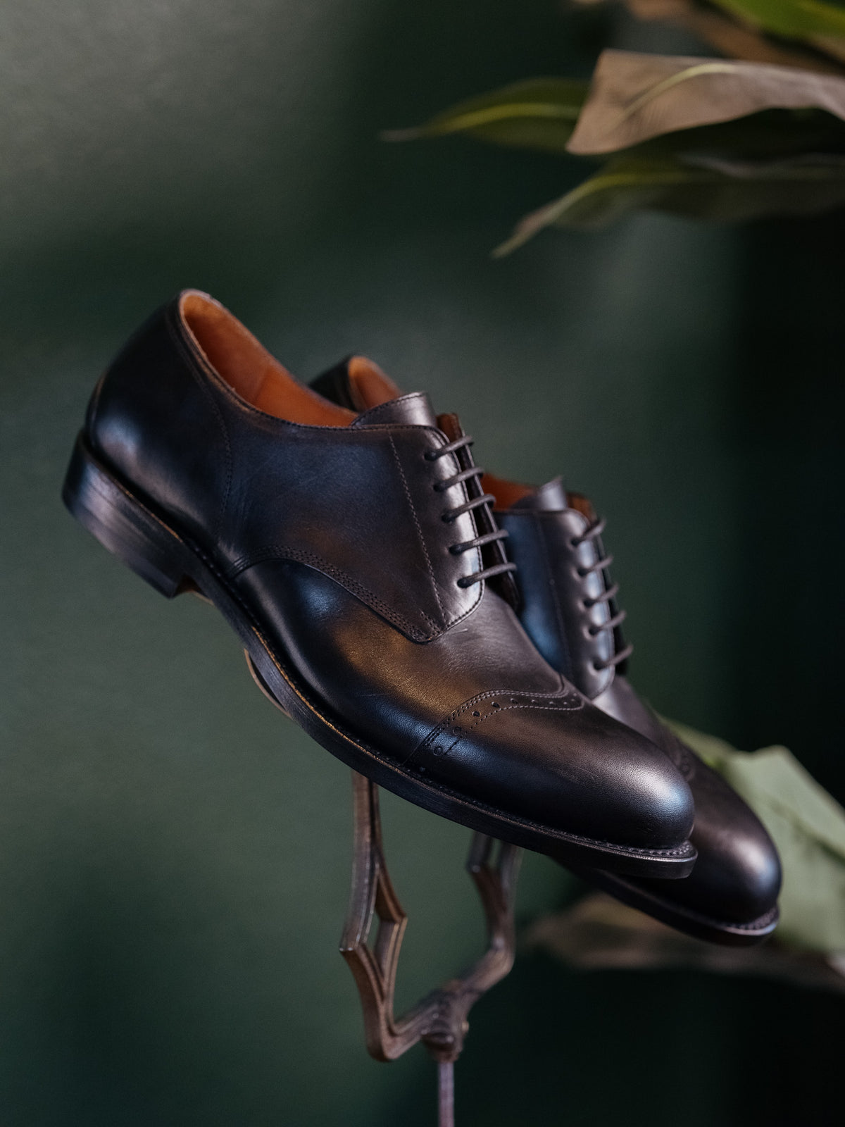 Toe Cap Shoes in Raven Black, pair balanced on an ornate metal stand against a dark green backdrop
