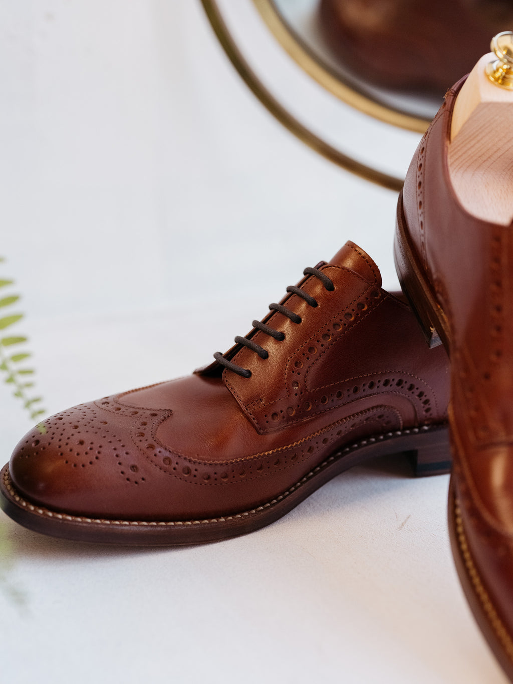 Wingtip Shoes in Chestnut, close view of brogue toe and laces with second shoe beside it