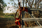 Shooting and Tool Belt