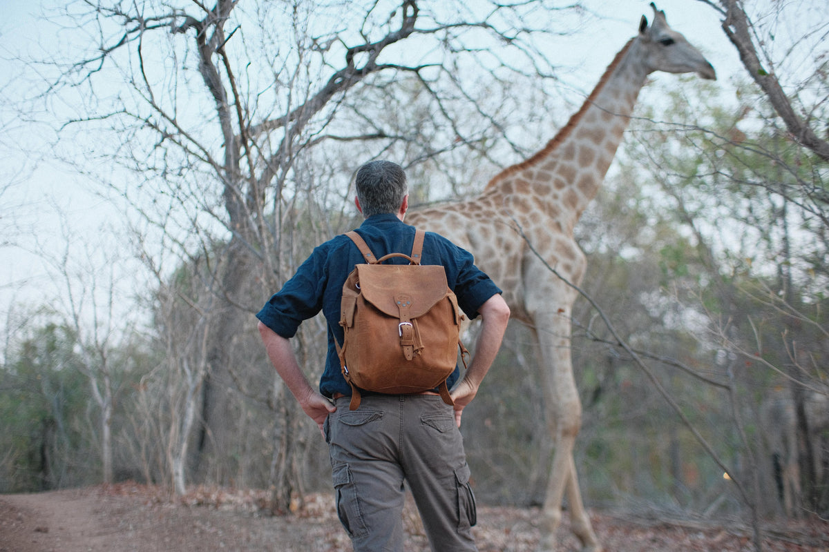 Man seen from behind wearing a tan leather backpack, facing a giraffe among bare trees on a safari walk